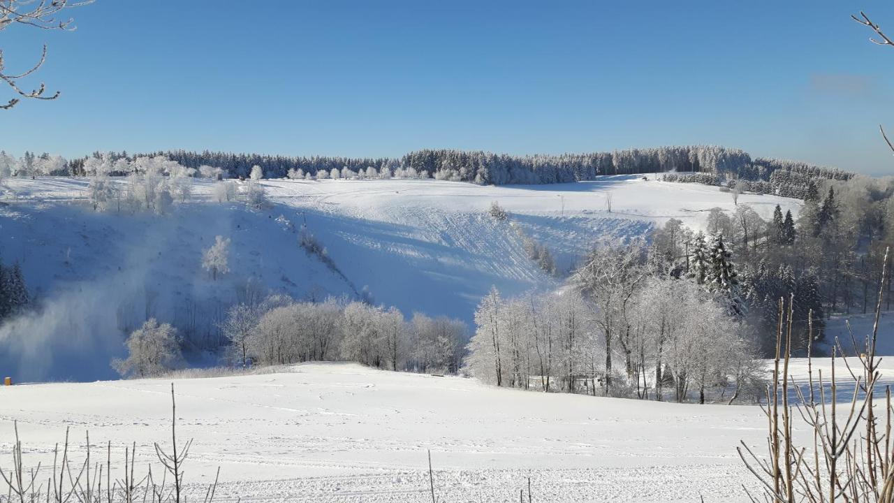 Hotel Clemens Winterberg Kültér fotó